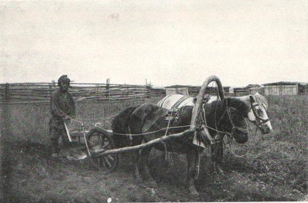 Компания сельсовет